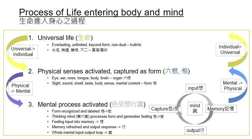 Life body mind relationship